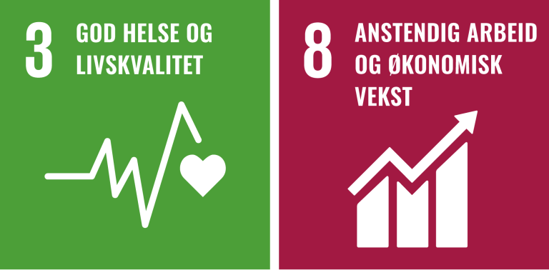Illustrasjon FNs bærekraftsmål 3 og 8.