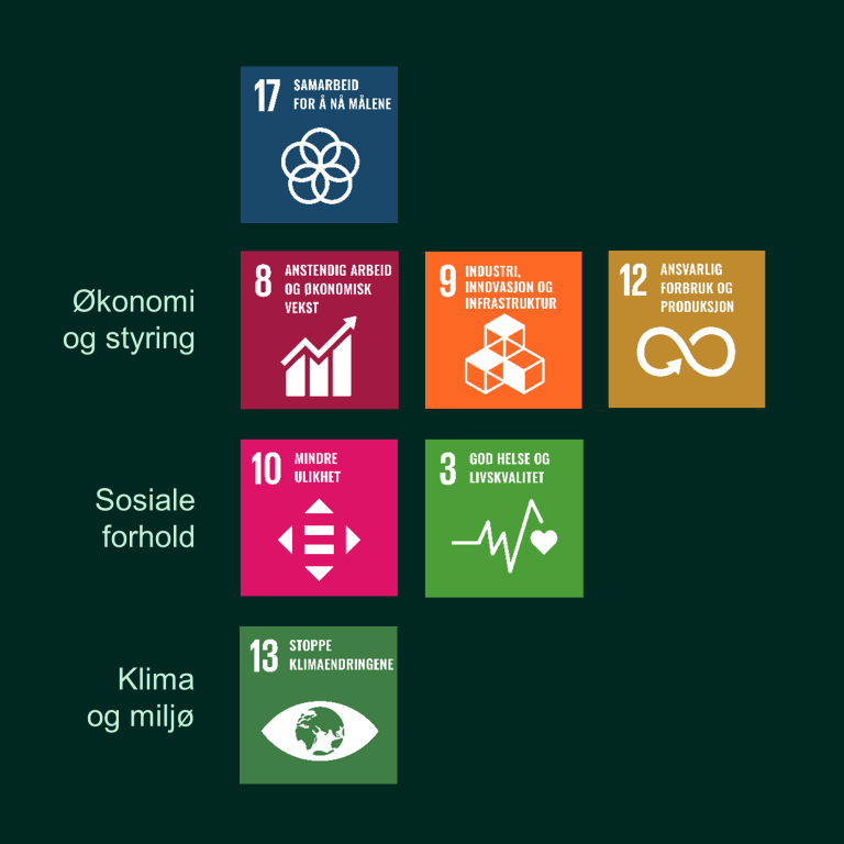 Illustrasjon som viser de sjuutvalgte av FNs bærekraftsmål