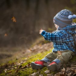mp16650162-little-boy-sitting-on-forest-moss-and-playing-with-leaves